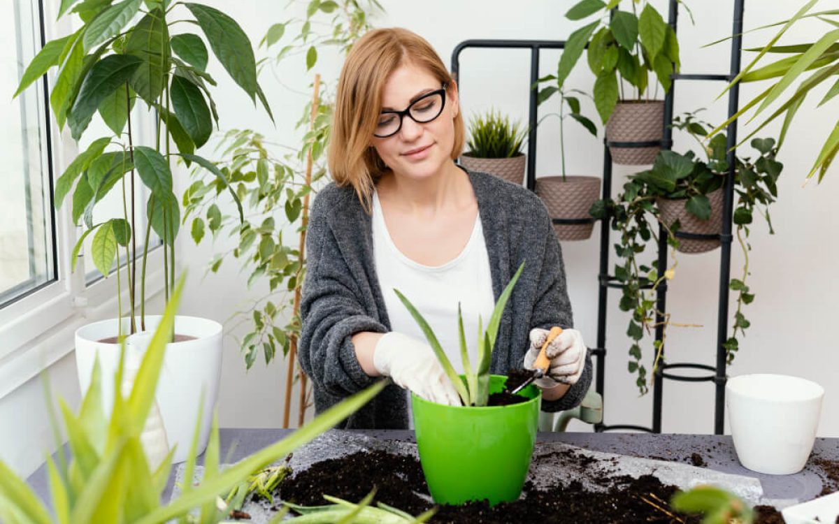 How to Start a Balcony Garden in a Small Apartment (Even If You’ve Never Grown a Plant Before)